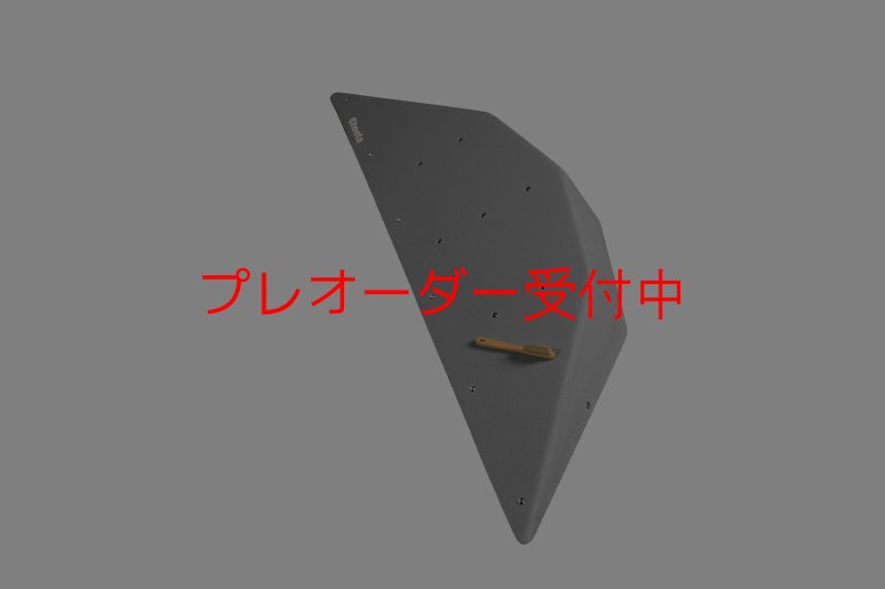 画像2: CT  Ball L4/プレオーダー (2)