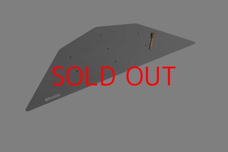 画像24: CT  Ball L3 (24)