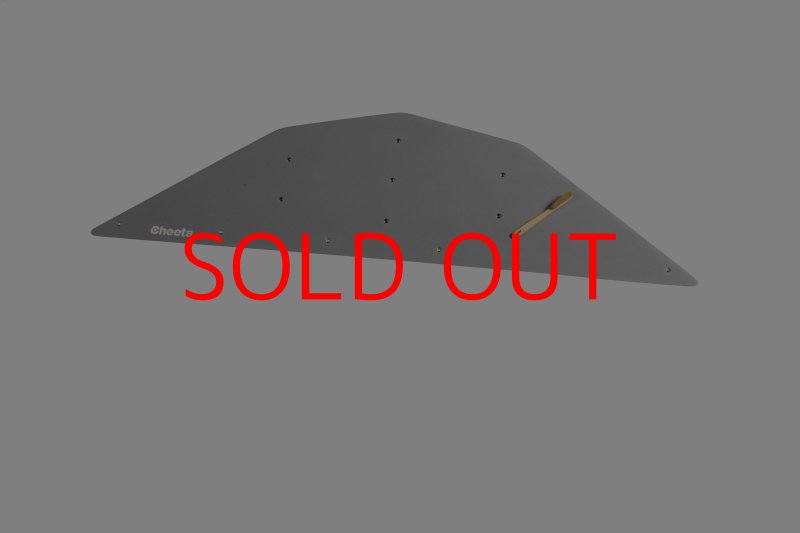 画像27: CT  Ball L4 (27)