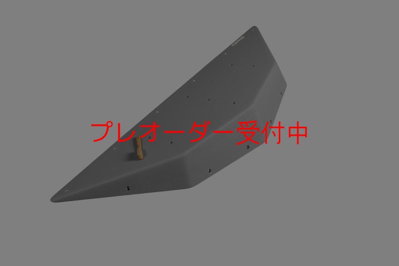 画像7: CT  Ball L3/プレオーダー (7)
