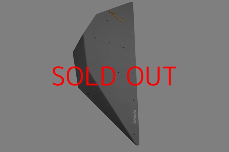 画像19: CT  Ball XL4 (19)