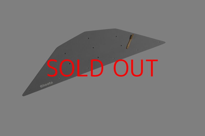 画像24: CT  Ball L4 (24)