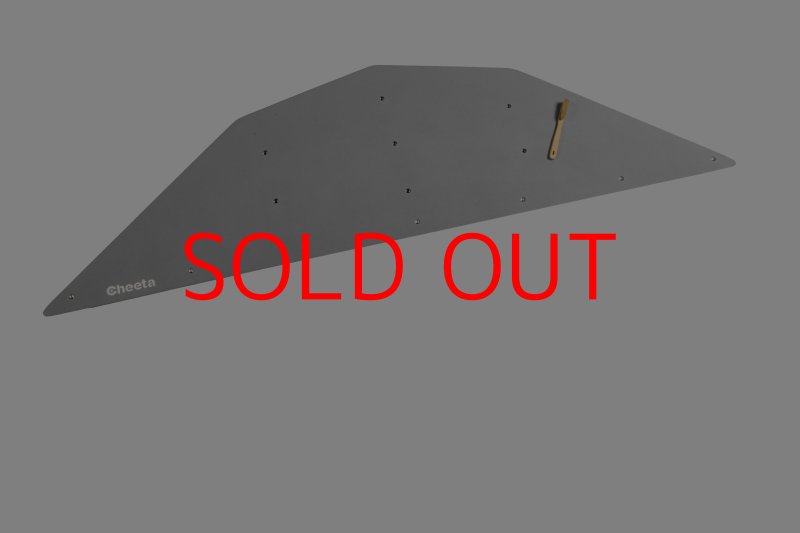 画像25: CT  Ball XL4 (25)