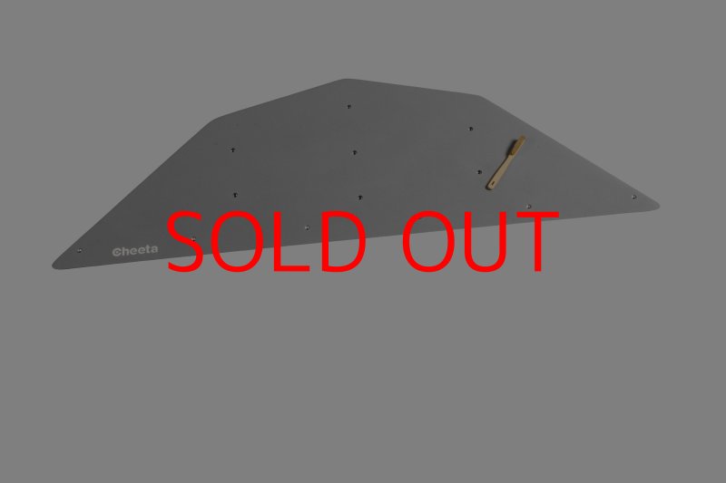 画像26: CT  Ball L3 (26)