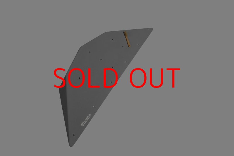 画像21: CT  Ball L4 (21)