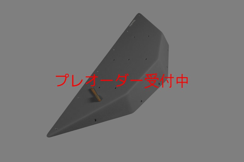 画像6: CT  Ball L3/プレオーダー (6)