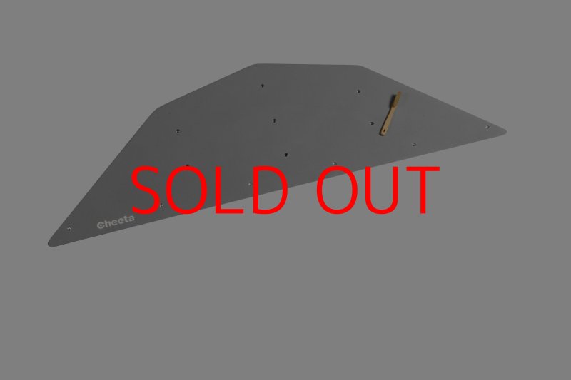 画像25: CT  Ball L3 (25)