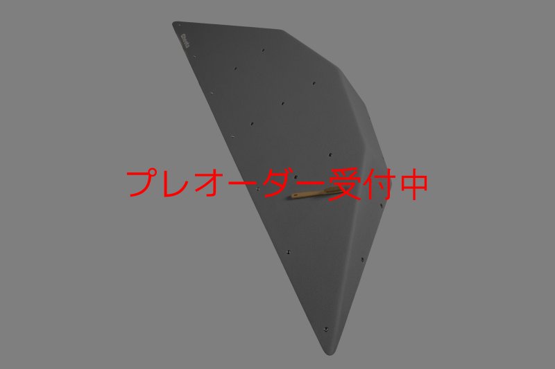 画像2: CT  Ball XL4/プレオーダー (2)