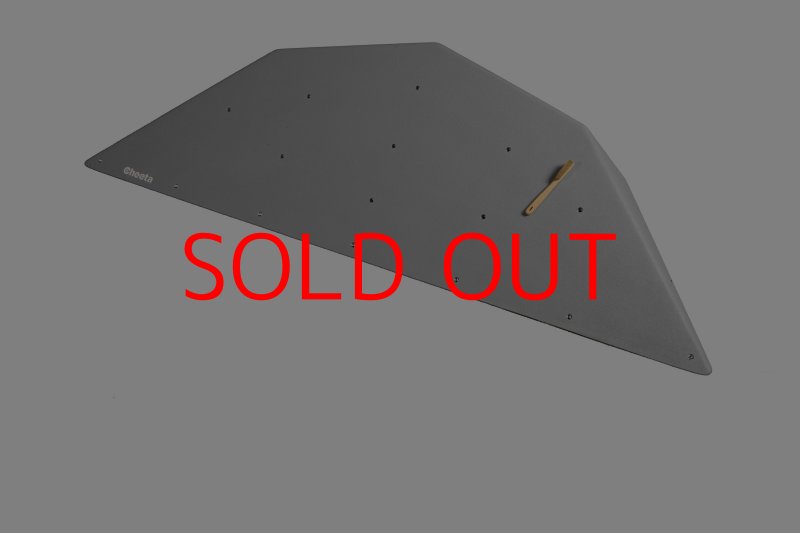 画像30: CT  Ball XL2 (30)