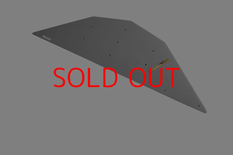 画像29: CT  Ball XL4 (29)