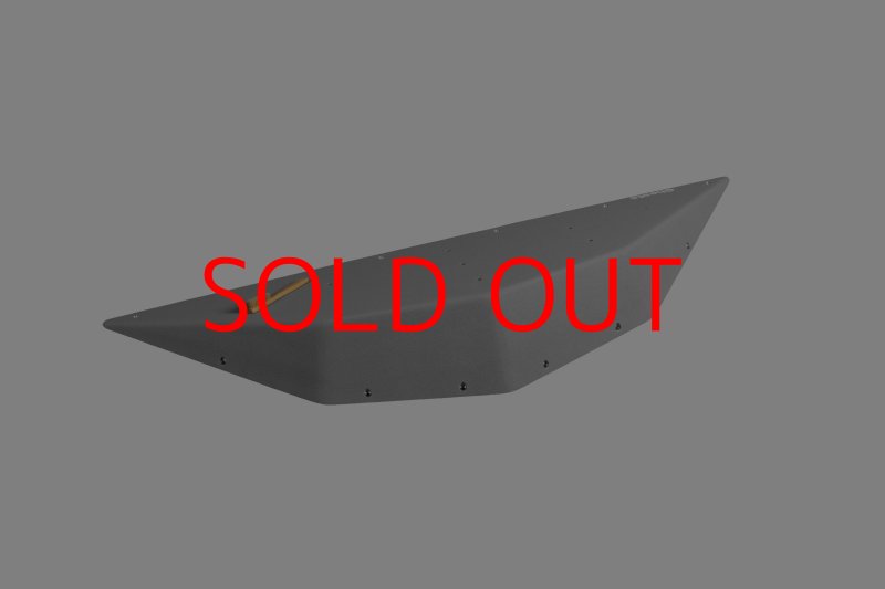 画像10: CT  Ball L4 (10)