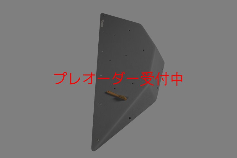 画像4: CT  Ball L3/プレオーダー (4)