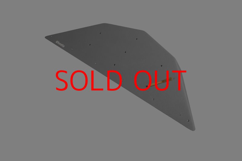 画像30: CT  Ball L3 (30)