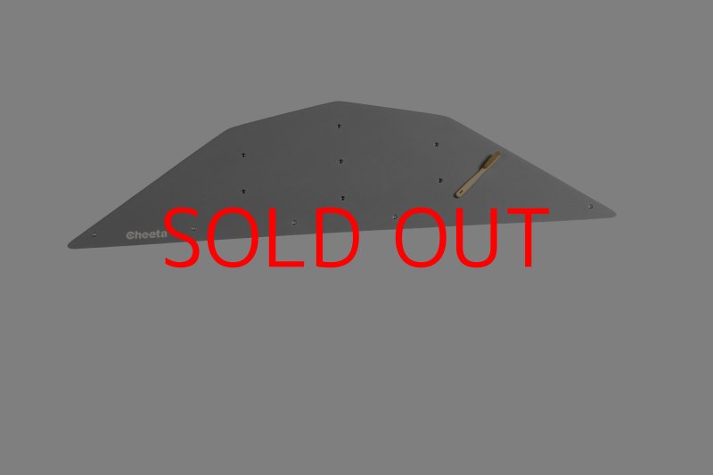 画像26: CT  Ball L4 (26)