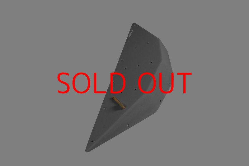 画像5: CT  Ball L4 (5)