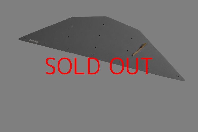 画像28: CT  Ball XL4 (28)