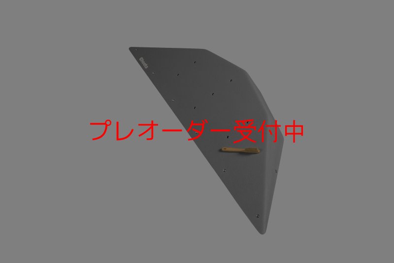 画像1: CT  Ball L4/プレオーダー (1)