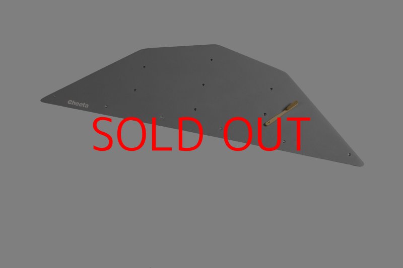 画像28: CT  Ball L3 (28)