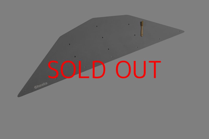 画像24: CT  Ball XL4 (24)