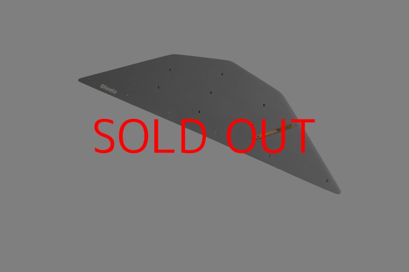 画像29: CT  Ball L4 (29)