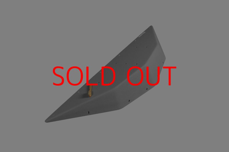 画像7: CT  Ball L4 (7)