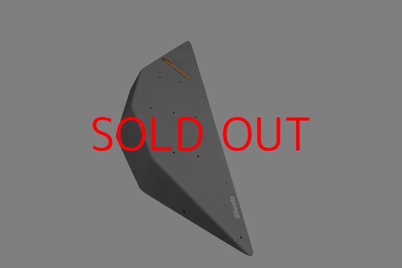 画像18: CT  Ball L4 (18)