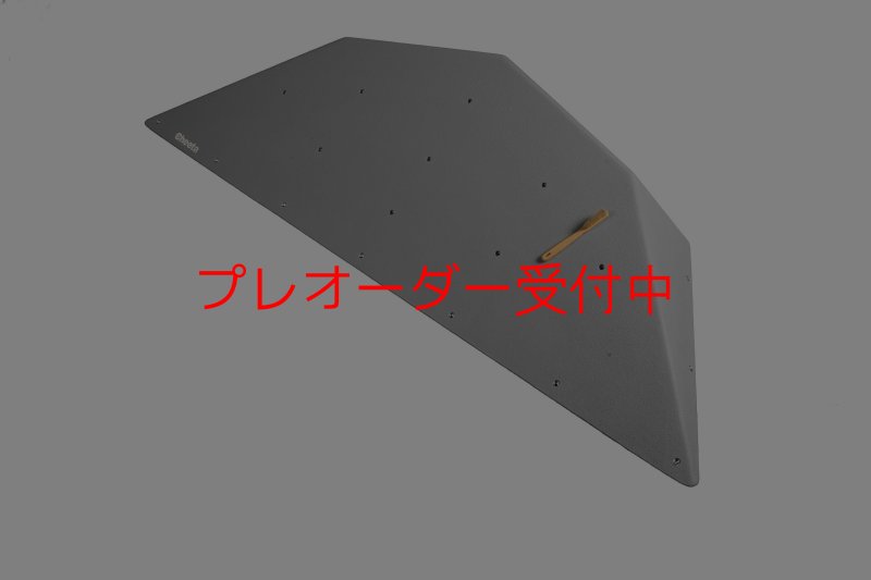 画像1: CT  Ball XL2/プレオーダー (1)