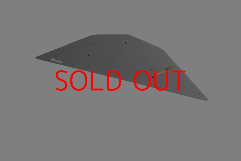 画像28: CT  Ball L4 (28)