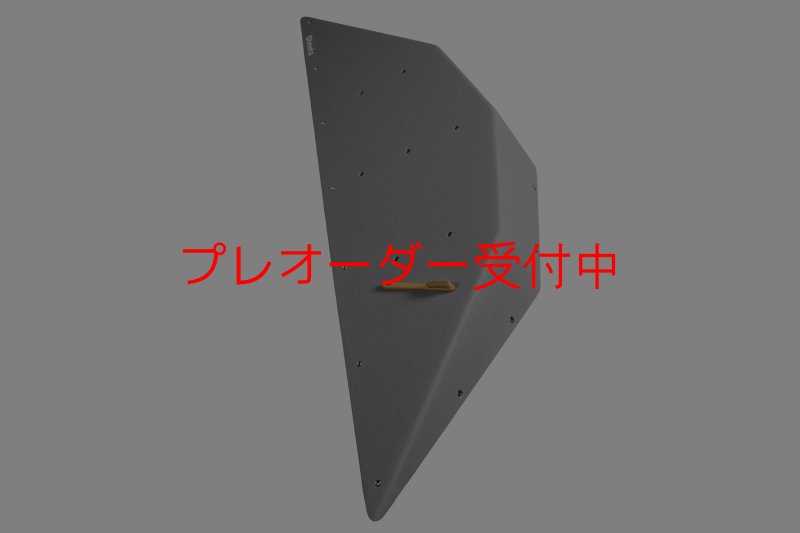 画像3: CT  Ball XL4/プレオーダー (3)