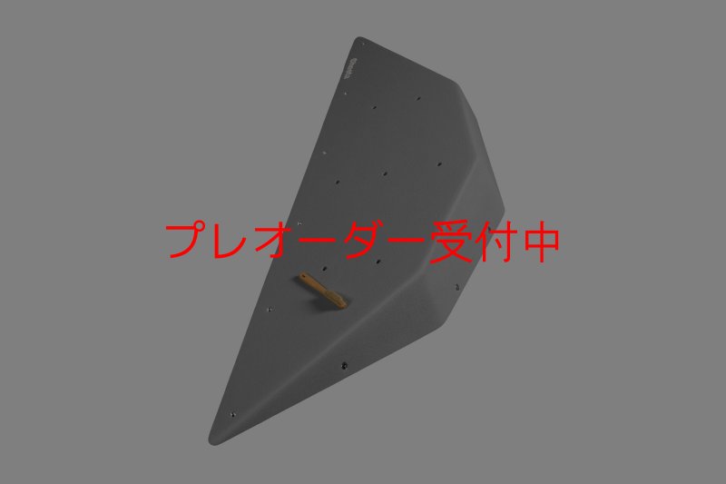 画像5: CT  Ball L3/プレオーダー (5)