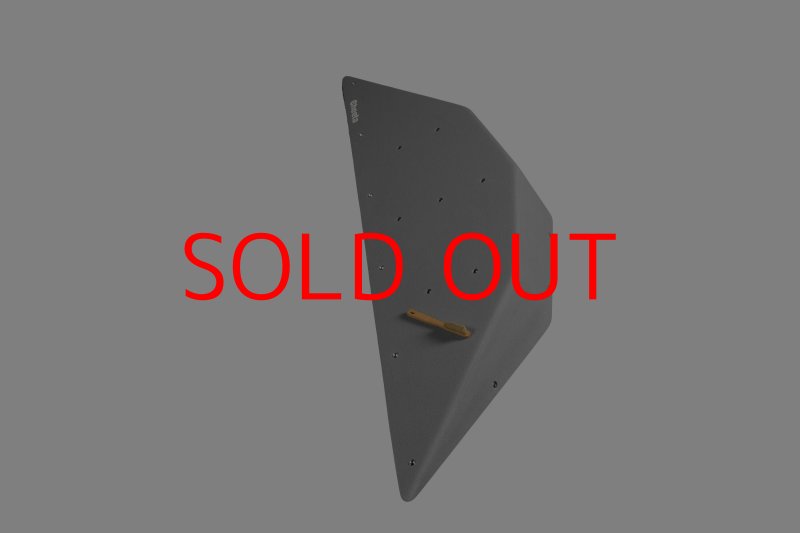 画像3: CT  Ball L4 (3)