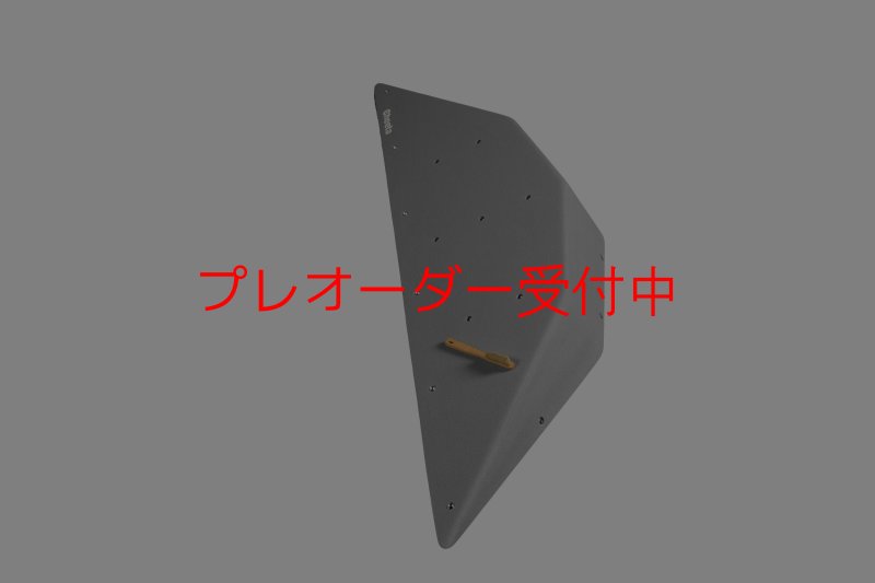 画像3: CT  Ball L4/プレオーダー (3)