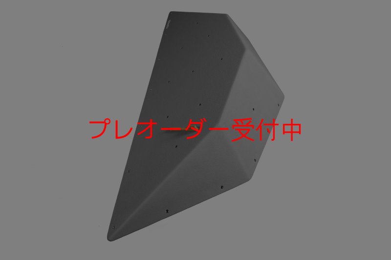画像6: CT  Ball XL2/プレオーダー (6)