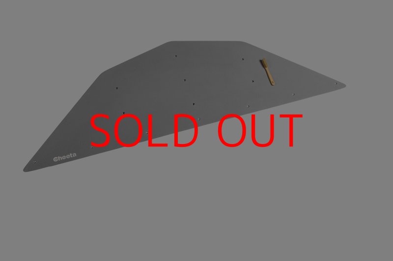 画像25: CT  Ball XL3 (25)