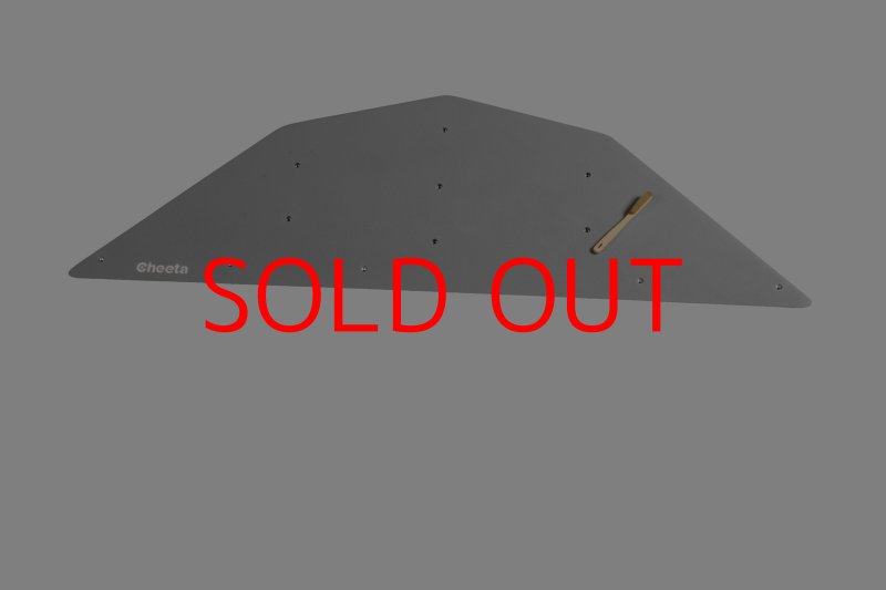 画像27: CT  Ball L3 (27)