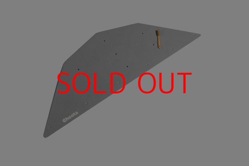 画像23: CT  Ball L3 (23)