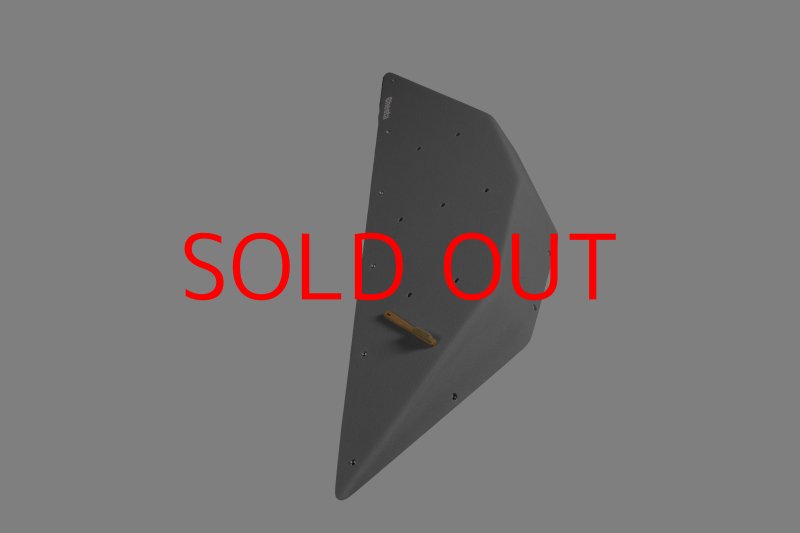 画像4: CT  Ball L4 (4)