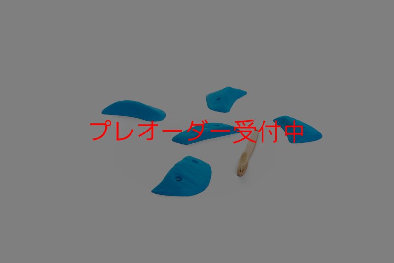 画像3: CT Wings Meduse/プレオーダー (3)