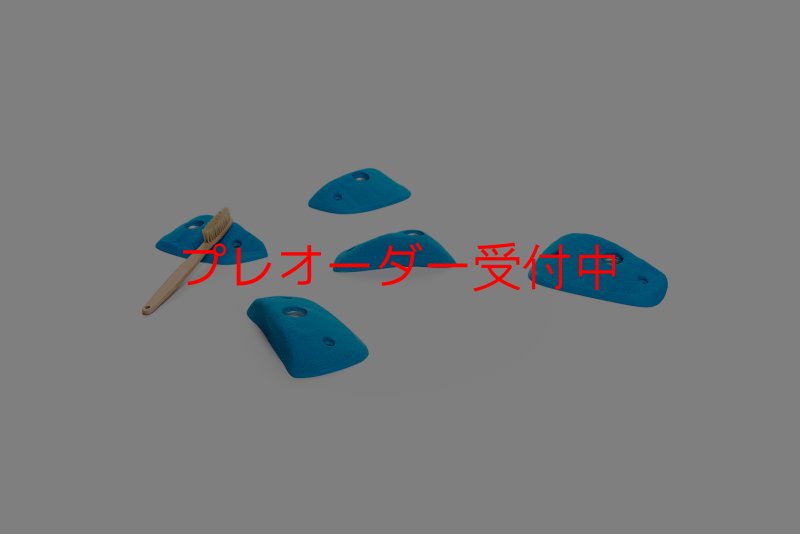画像2: CT Wings Dedale/プレオーダー (2)