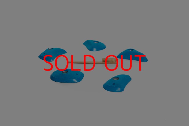 画像3: CT Wings Phenix (3)