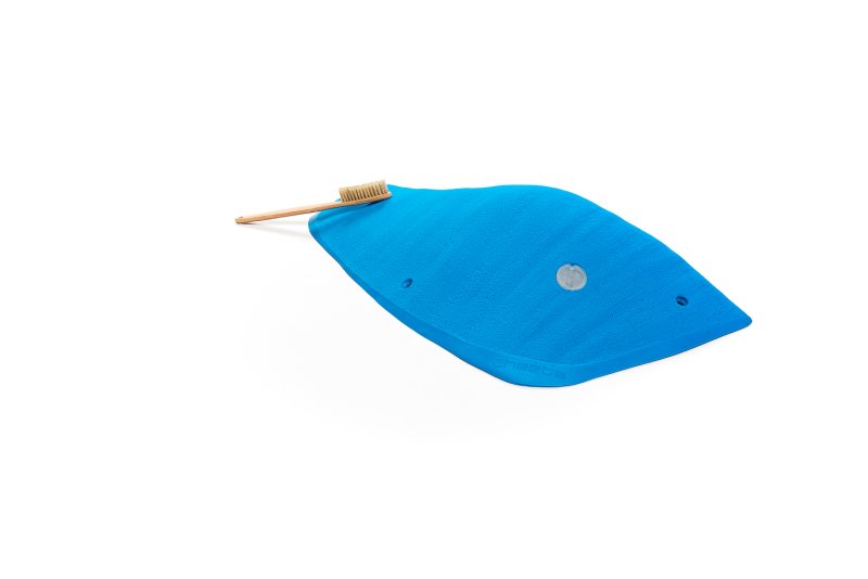 画像2: CT Wings Pegase (2)