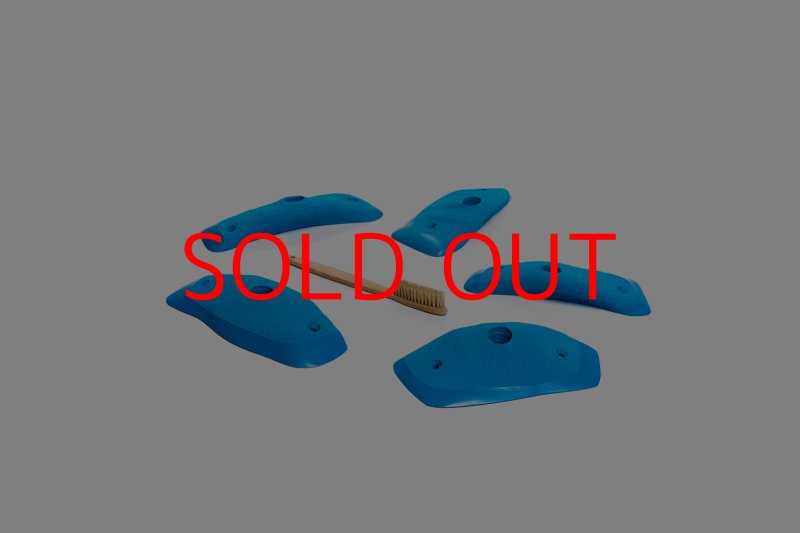 画像2: CT Wings Raptor (2)