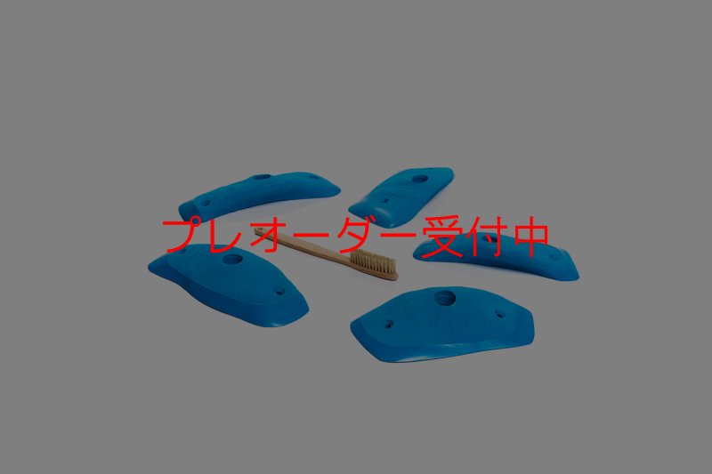 画像2: CT Wings Raptor/プレオーダー (2)