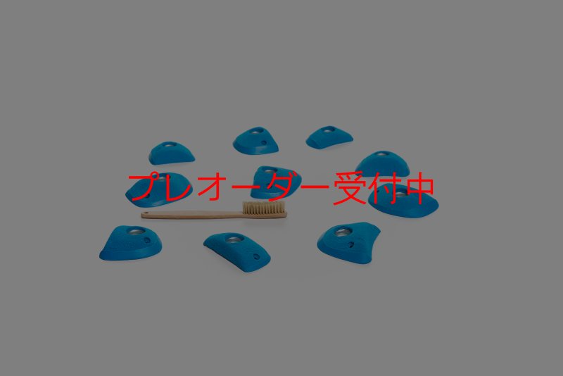 画像3: CT Wings Rokh/プレオーダー (3)
