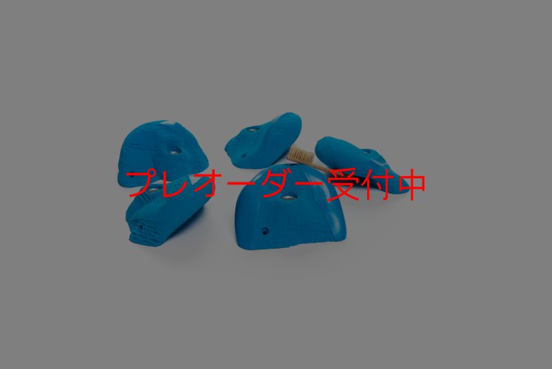 画像1: CT Urban L4/プレオーダー (1)