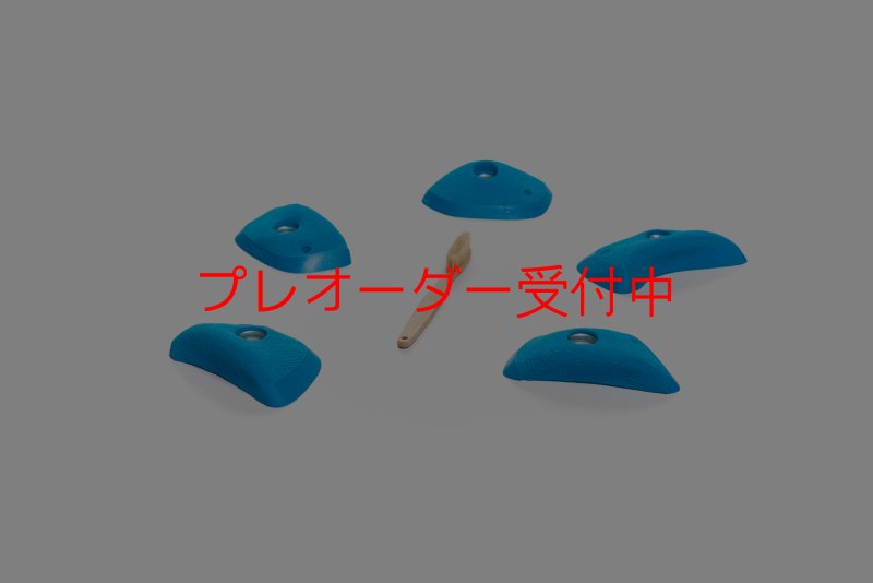 画像2: CT Wings Sphinx/プレオーダー (2)