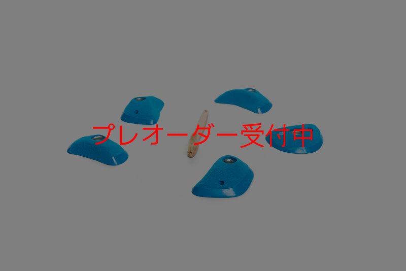 画像4: CT Wings Phenix/プレオーダー (4)