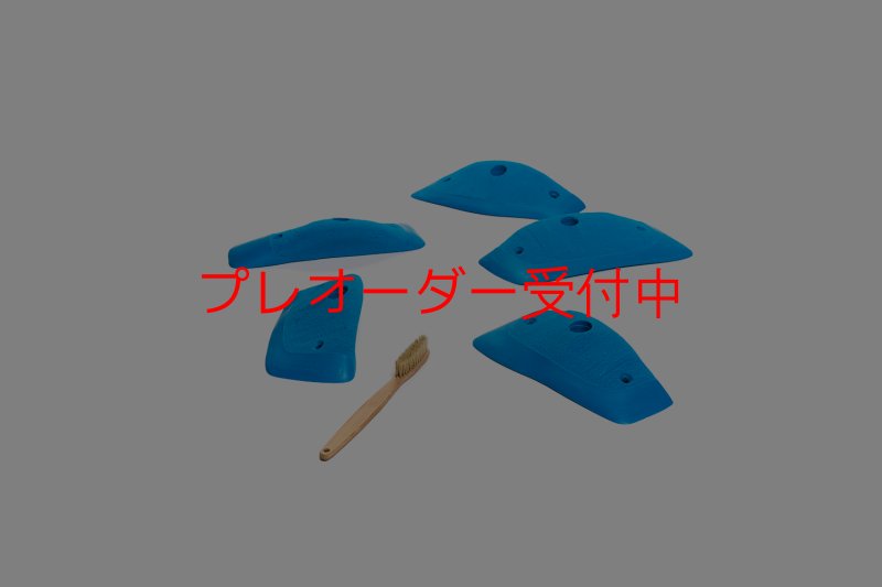 画像2: CT Wings Hawk/プレオーダー (2)