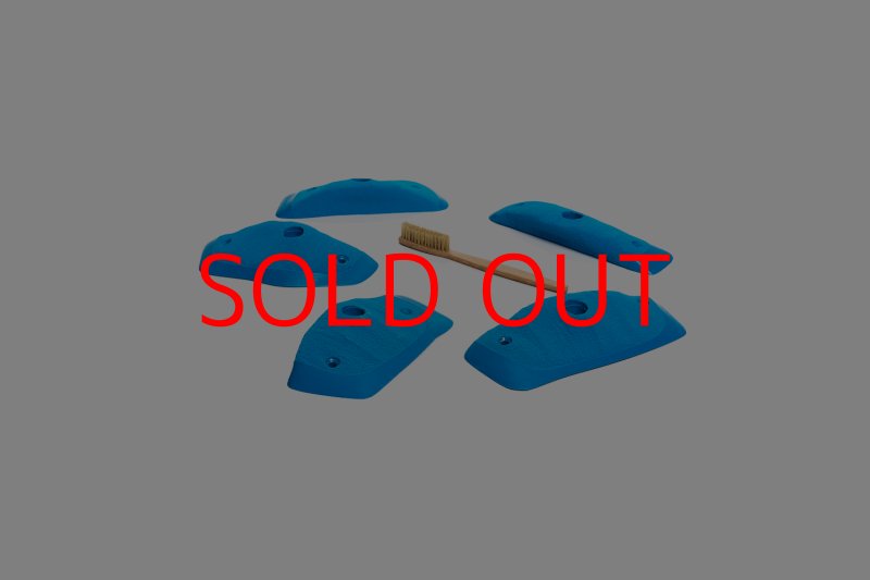 画像4: CT Wings Raptor (4)