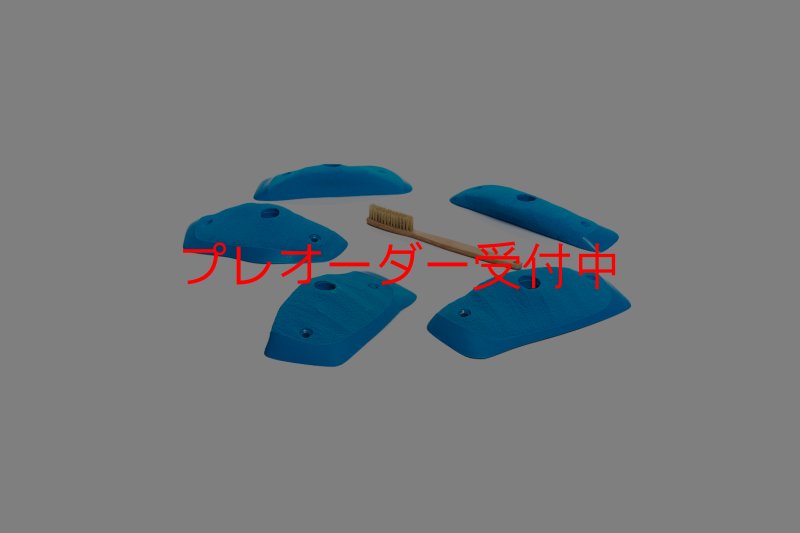 画像4: CT Wings Raptor/プレオーダー (4)